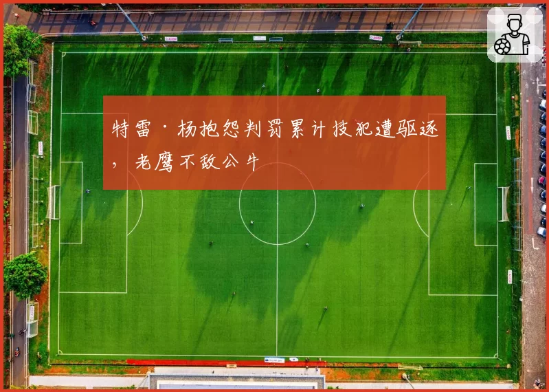 特雷·杨抱怨判罚累计技犯遭驱逐，老鹰不敌公牛