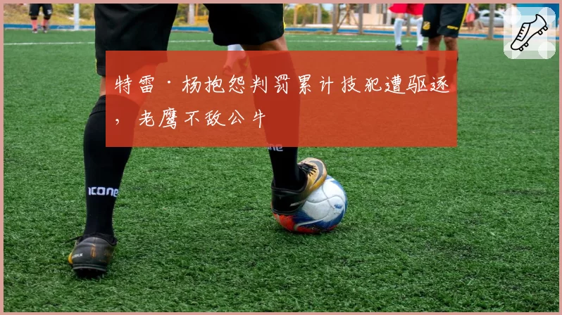 特雷·杨抱怨判罚累计技犯遭驱逐，老鹰不敌公牛