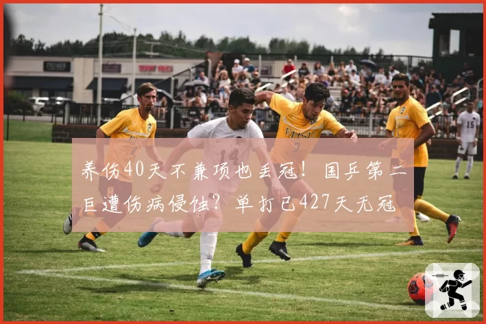 养伤40天不兼项也丢冠!国乒第二巨遭伤病侵蚀?单打已427天无冠