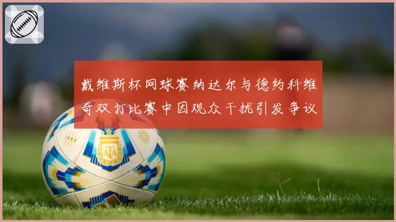戴维斯杯网球赛纳达尔与德约科维奇双打比赛中因观众干扰引发争议，裁判要求暂停比赛清场