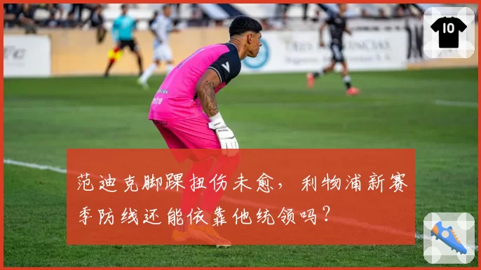 范迪克脚踝扭伤未愈,利物浦新赛季防线还能依靠他统领吗?