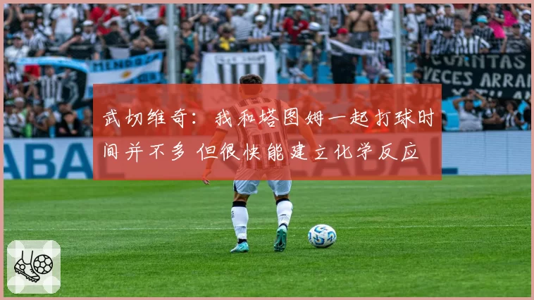 武切维奇：我和塔图姆一起打球时间并不多 但很快能建立化学反应